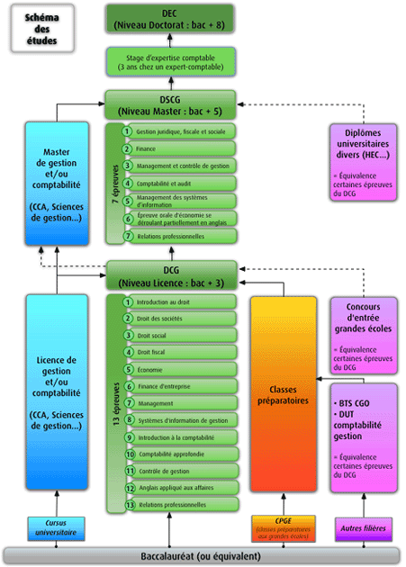 Schéma organisation études expertise comptable : DCG, DSCG, DEC 