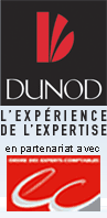 Logo Dunod - L&rsquo;exp&eacute;rience de l&rsquo;expertise